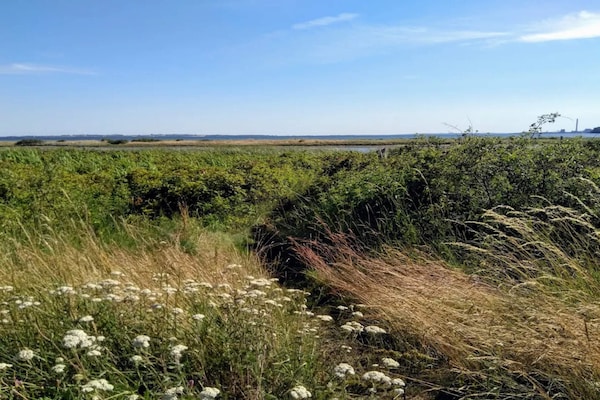 Foto van 4 persoons vakantie huis in Rønde-By Traum - Vakantiehuis in Rønde - WaterView