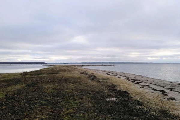 Foto van 4 persoons vakantie huis in Rønde-By Traum - Vakantiehuis in Rønde - WaterView