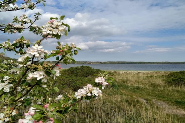 Foto van 4 persoons vakantie huis in Rønde-By Traum - Vakantiehuis in Rønde - WaterView