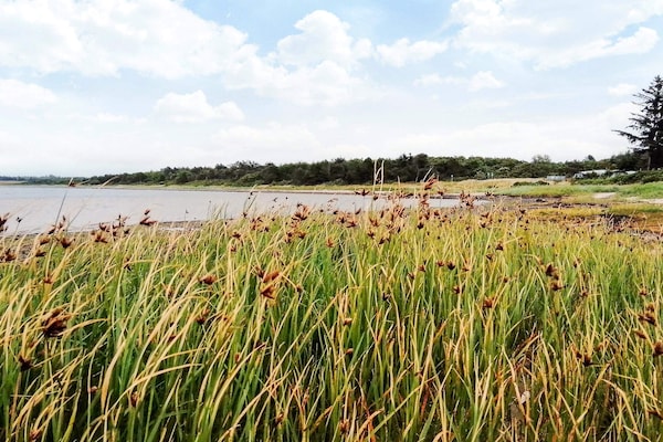 Foto van 6 persoons vakantie huis in Farsø-By Traum - Vakantiehuis in Farsø - WaterView