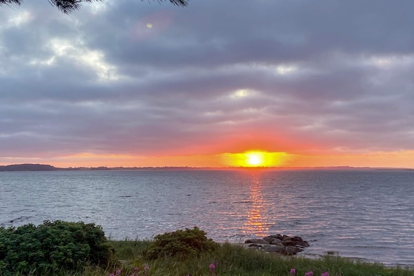 Foto van 6 persoons vakantie huis in Farsø-By Traum - Vakantiehuis in Farsø - WaterView