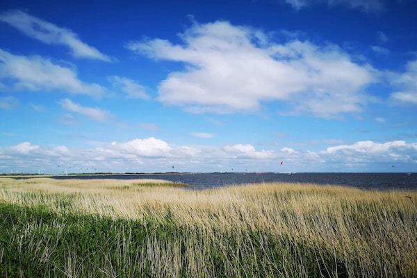 Foto van 3 persoons vakantie huis in Ringkøbing - Vakantiehuis in Ringkøbing - WaterView