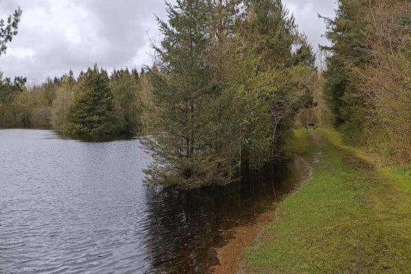 Foto van 4 persoons vakantie huis in Oksbøl-By Traum - Vakantiehuis in Oksbøl - WaterView