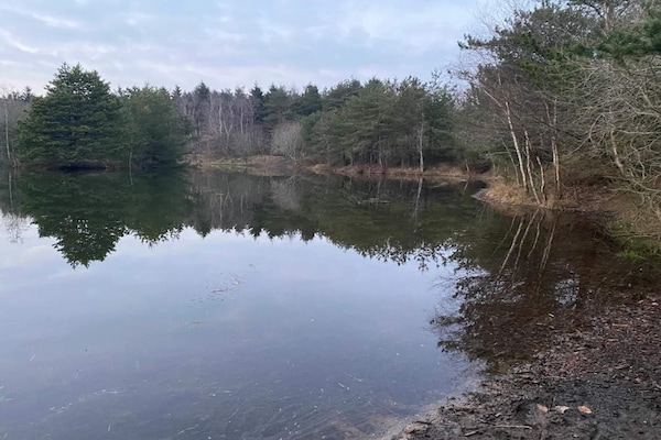 Foto van 4 persoons vakantie huis in Oksbøl-By Traum - Vakantiehuis in Oksbøl - WaterView