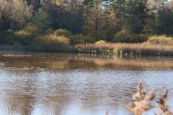 Foto van 4 persoons vakantie huis in SKÅNES-FAGERHULT - Vakantiehuis in SKÅNES-FAGERHULT - Untagged