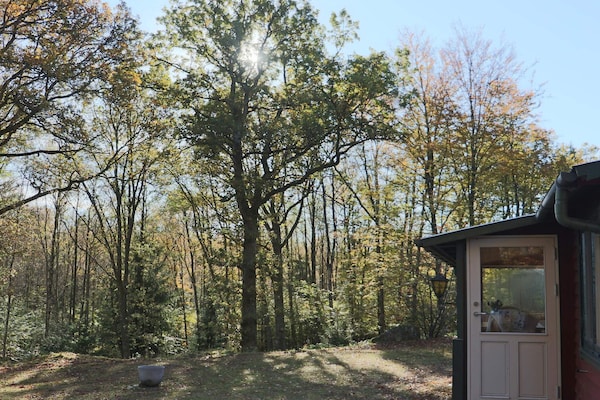 Foto van 4 persoons vakantie huis in SKÅNES-FAGERHULT - Vakantiehuis in SKÅNES-FAGERHULT - Outdoor