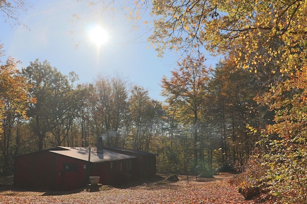 Foto van 4 persoons vakantie huis in SKÅNES-FAGERHULT - Vakantiehuis in SKÅNES-FAGERHULT - Outdoor