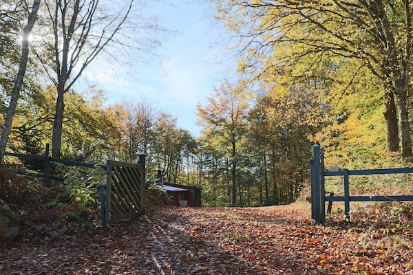 Foto van 4 persoons vakantie huis in SKÅNES-FAGERHULT - Vakantiehuis in SKÅNES-FAGERHULT - Outdoor