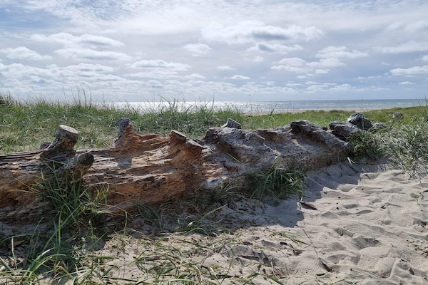 Foto van Gezellig strandverblijf -- By Traum Ferienwohnungen - Untagged