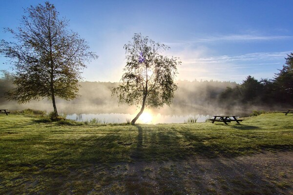 Foto van 4 persoons vakantie huis in Toftlund-By Traum - Vakantiehuis in Toftlund - Untagged