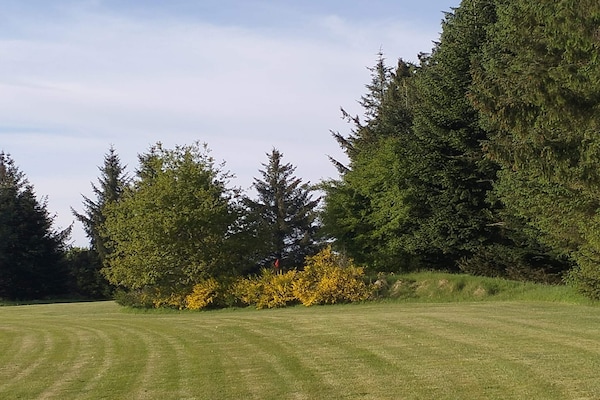 Foto van 4 persoons vakantie huis in Toftlund-By Traum - Vakantiehuis in Toftlund - Untagged