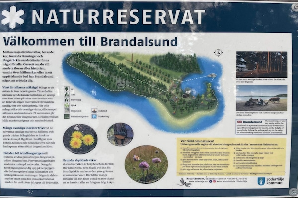 Foto van 6 persoons vakantie huis in JÄRNA-By Traum - Vakantiehuis in JÄRNA - Untagged