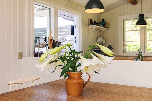 Foto van 6 persoons vakantie huis in Gilleleje-By Traum - Vakantiehuis in Gilleleje - Indoor