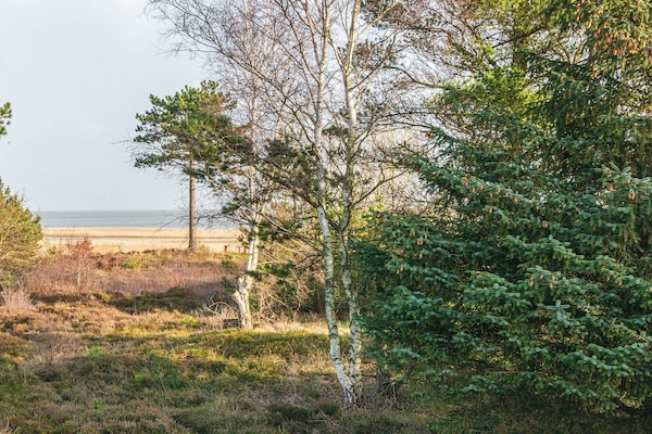 Foto van 5 persoons vakantie huis in Rømø-By Traum - Vakantiehuis in Rømø - Outdoor