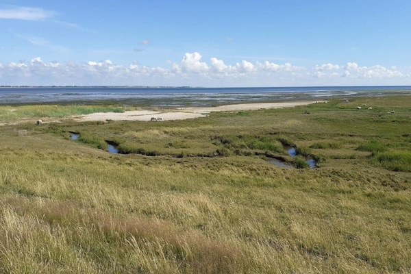 Foto van 5 persoons vakantie huis in Rømø-By Traum - Vakantiehuis in Rømø - Untagged