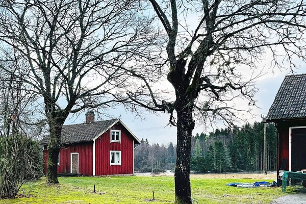 Foto van 4 persoons vakantie huis in FÄRGELANDA-By Traum - Vakantiehuis in FÄRGELANDA - Outdoor