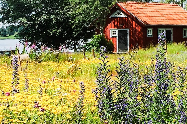 Foto van 2 persoons vakantie huis in Bellö-By Traum - Vakantiehuis in Bellö - Outdoor