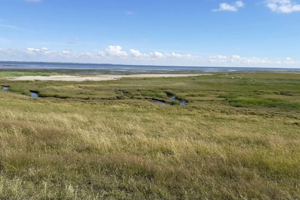 Foto van 4 persoons vakantie huis in Rømø-By Traum - Vakantiehuis in Rømø - Untagged