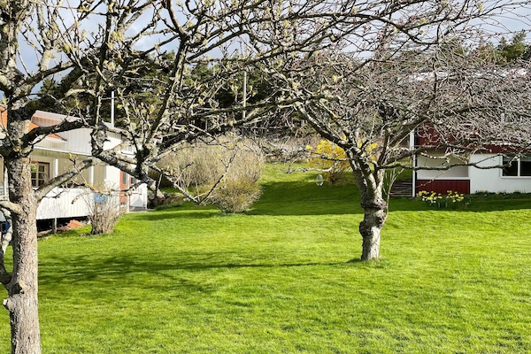 Foto van 4 persoons vakantie huis in HAKENÄSET-By Traum - Vakantiehuis in HAKENÄSET - Outdoor