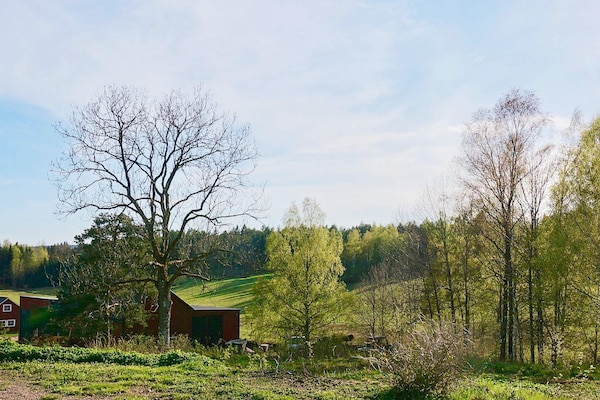 Foto van 4 persoons vakantie huis in Ulfborg-By Traum - Vakantiehuis in Fengersfors - Outdoor