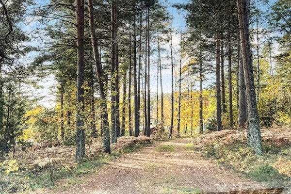 Foto van 4 persoons vakantie huis in Ulfborg-By Traum - Vakantiehuis in Fengersfors - Untagged