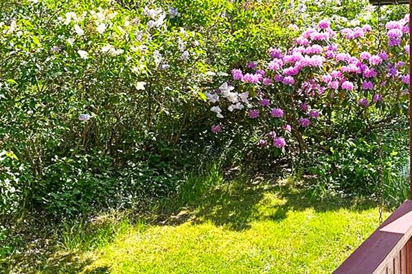 Foto van 4 persoons vakantie huis in Södertälje-By Traum - Vakantiehuis in Södertälje - Outdoor
