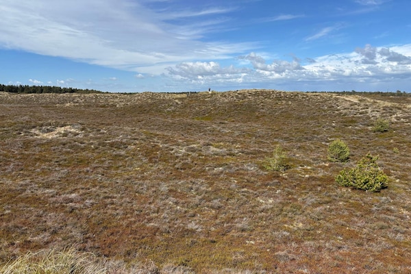Foto van Rustig verblijf in Romo - Vakantiehuis in Rømø - Untagged