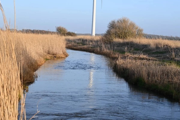 Foto van 6 persoons vakantie huis in Ringkøbing-By Traum - Vakantiehuis in Ringkøbing - WaterView