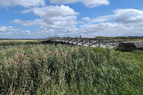 Foto van 6 persoons vakantie huis in Ringkøbing-By Traum - Vakantiehuis in Ringkøbing - WaterView