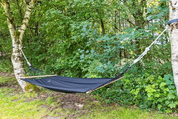 Foto van 6 persoons vakantie huis in Fjerritslev-By Traum - Vakantiehuis in Fjerritslev - View