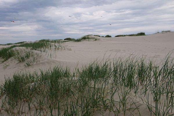 Foto van 6 persoons vakantie huis in Fanø-By Traum - Vakantiehuis in Fanø - Untagged