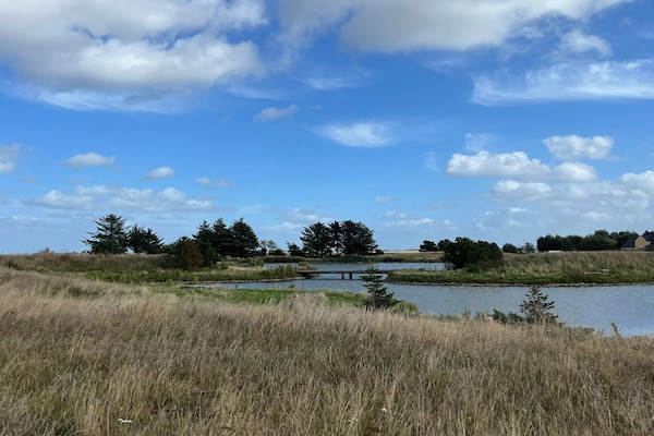 Foto van 6 persoons vakantie huis in Fanø-By Traum - Vakantiehuis in Fanø - WaterView