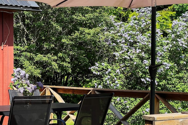 Foto van 4 persoons vakantie huis in ANNESTAD-By Traum - Vakantiehuis in Annerstad - Outdoor
