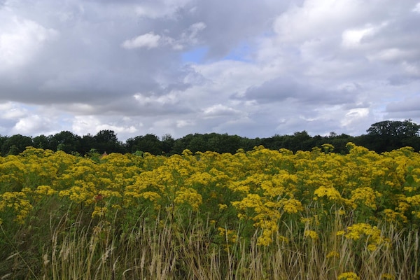 Foto van Kustgeluk in Hejlsminde - Vakantiehuis in Hejls - Untagged