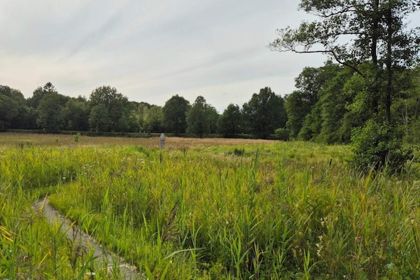 Foto van 4 persoons vakantie huis in Hovborg-By Traum - Vakantiehuis in Hovborg - Untagged