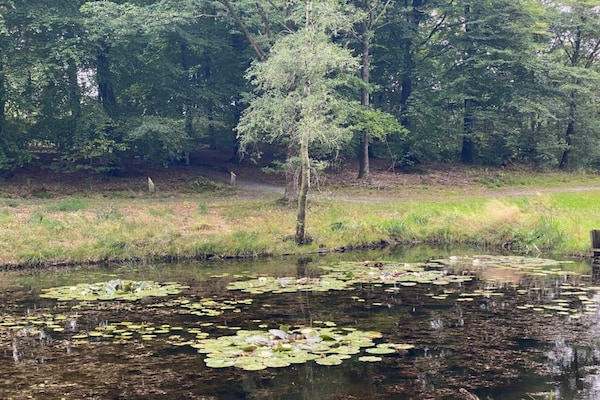 Foto van 4 persoons vakantie huis in Hovborg-By Traum - Vakantiehuis in Hovborg - WaterView