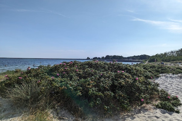 Foto van 3 persoons vakantie huis in HUNVIGAN-By Traum - Vakantiehuis in Höllviken - WaterView