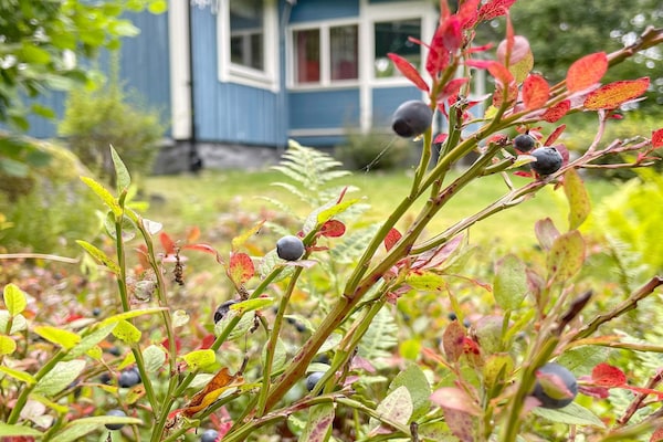 Foto van 4 sterren vakantie huis in KARLSHAMN-By Traum - Vakantiehuis in KARLSHAMN - Outdoor