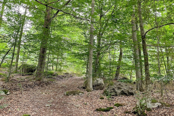 Foto van 4 sterren vakantie huis in KARLSHAMN-By Traum - Vakantiehuis in KARLSHAMN - Outdoor