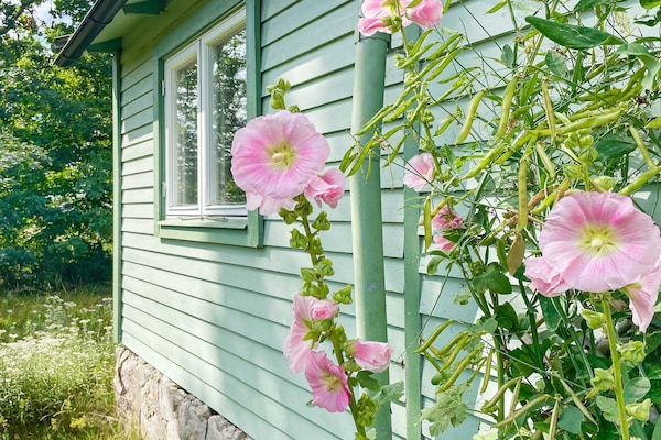 Foto van Charmant huisje bij zee en wandelpaden - Vakantiehuis in BERGKVARA - Outdoor