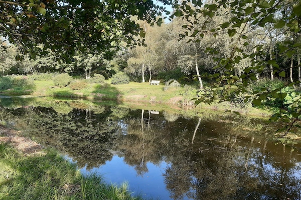 Foto van Pareltje aan het meer in Skarrild - Vakantiehuis in Kibæk - WaterView