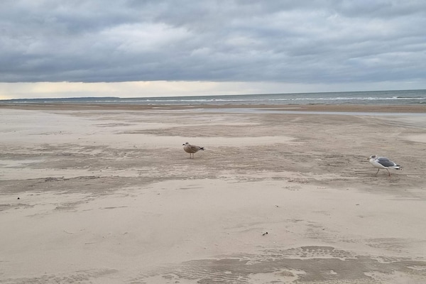 Foto van 4 sterren vakantie huis in Blokhus-By Traum - Vakantiehuis in Blokhus - Untagged