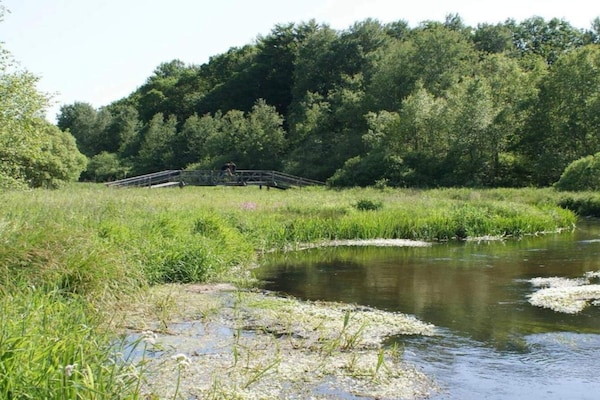 Foto van 5 sterren vakantie huis in Hovborg-By Traum - Vakantiehuis in Hovborg - WaterView