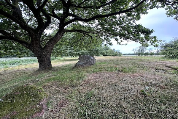 Foto van 5 sterren vakantie huis in Hovborg-By Traum - Vakantiehuis in Hovborg - Untagged