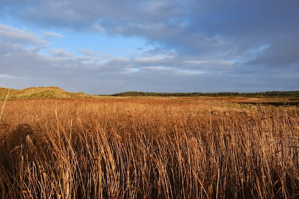 Foto van Rustige strandretreat -- By Traum Ferienwohnungen - Vakantiehuis in Løkken - Untagged
