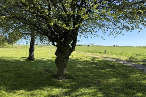 Foto van 6 persoons vakantie huis in Bedsted Thy-By Traum - Vakantiehuis in Bedsted Thy - Untagged