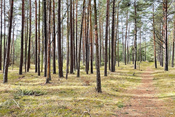 Foto van 4 sterren vakantie huis in YNGSJÖ-By Traum - Vakantiehuis in YNGSJÖ - Untagged