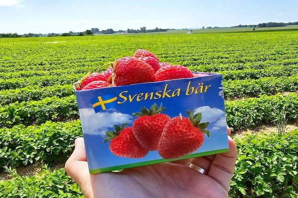 Foto van 4 sterren vakantie huis in YNGSJÖ-By Traum - Vakantiehuis in YNGSJÖ - Untagged