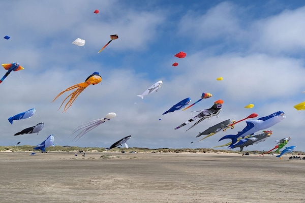 Foto van 4 sterren vakantie huis in Fanø-By Traum - Vakantiehuis in Fanø - Untagged