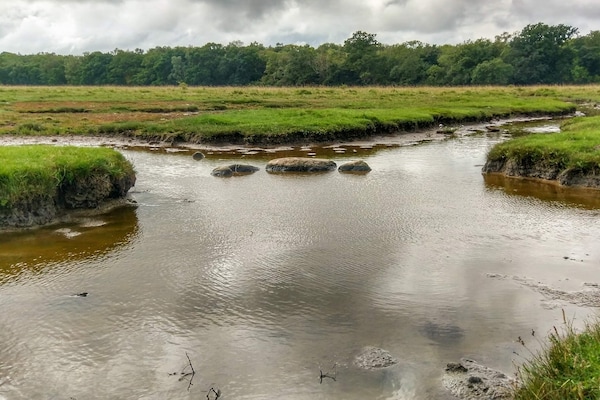 Foto van 6 persoons vakantie huis in Jægerspris-By Traum - Vakantiehuis in Jægerspris - WaterView